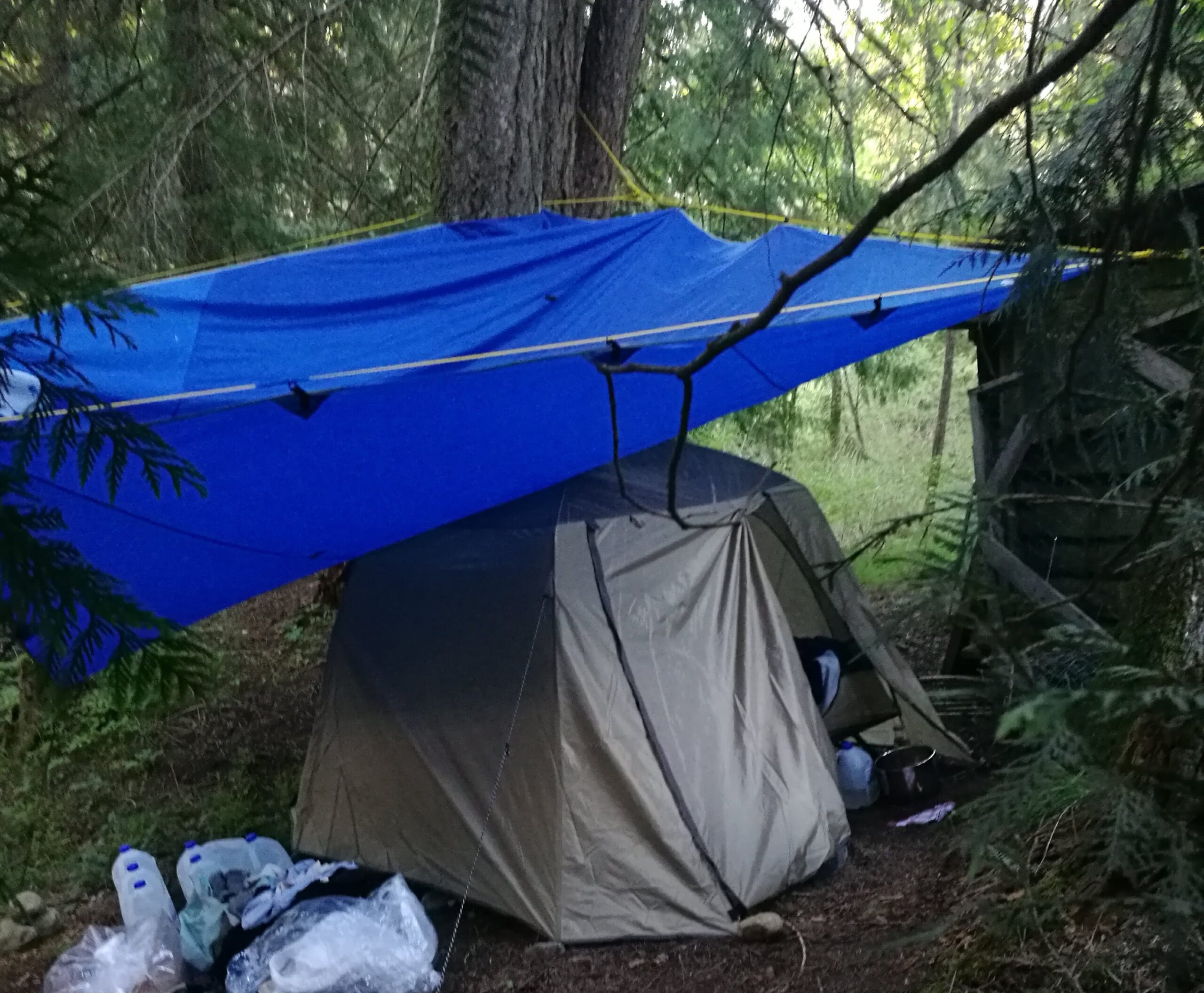 A blue tarp strung up on an angle between trees over my cot tent