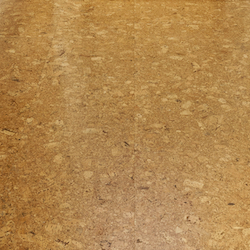 Guide to Non-Toxic Flooring 2024 - My Chemical-Free House