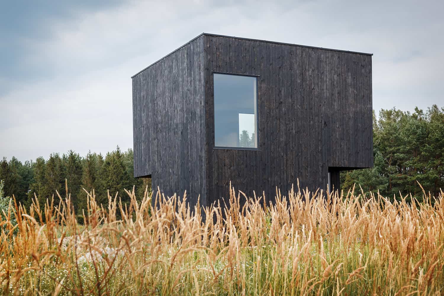 Non Toxic Exterior Home Ecolabeled Siding preview